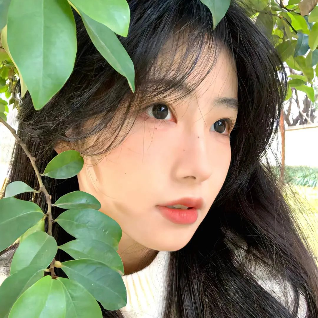 初恋未满 封面